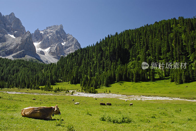 Val Venegia (Dolomites -意大利)